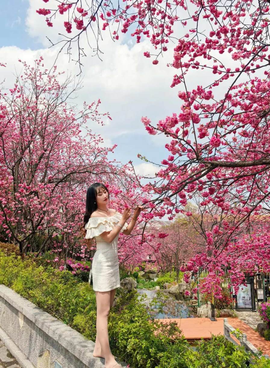 66 (756)_converted.jpg