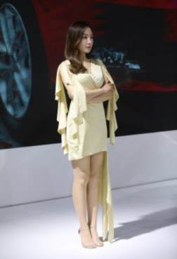 车展上漂亮的车模[<font color=red>26P</font>]