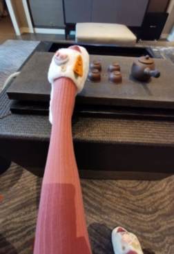 超级不好看的美丝来拉，她悄悄的来了[<font color=red>6P</font>]