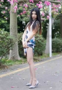 旗袍灰丝美女大长腿[<font color=red>8P</font>]