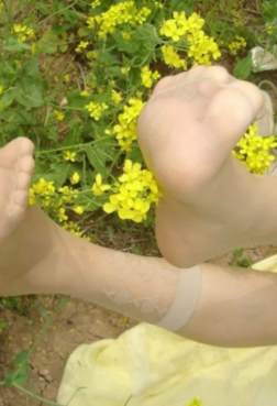 满地油菜花与纹花的美丝足更般配[<font color=red>22P</font>]